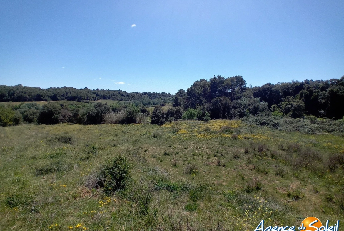 Terrain arboré non constructible à Paraza avec permis pour box, opportunité rare 
