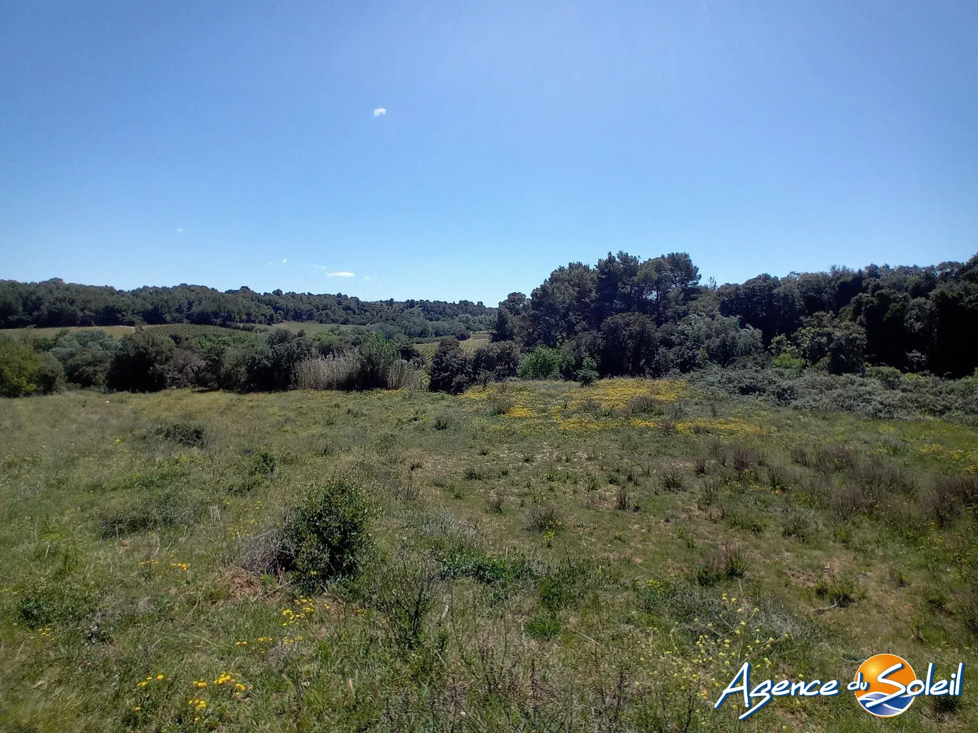 Terrain arboré non constructible à Paraza avec permis pour box, opportunité rare 