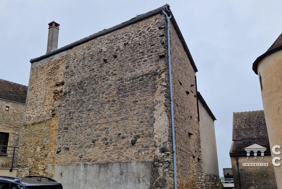 Charmante maison ancienne à Dezize-lès-Maranges avec potentiel touristique 