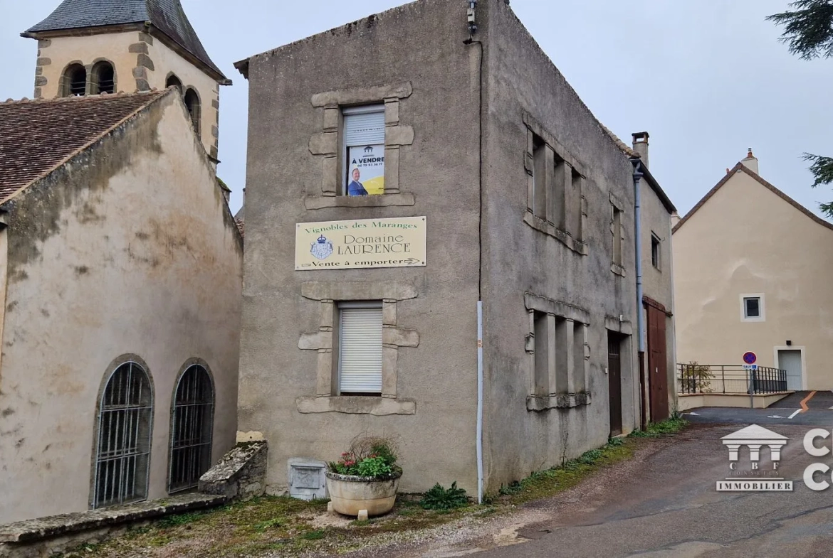 Charmante maison ancienne à Dezize-lès-Maranges avec potentiel touristique 
