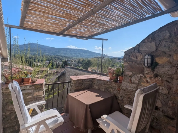 Maison de village provençale à Gonfaron de 98 m² avec terrasse et vue magnifique