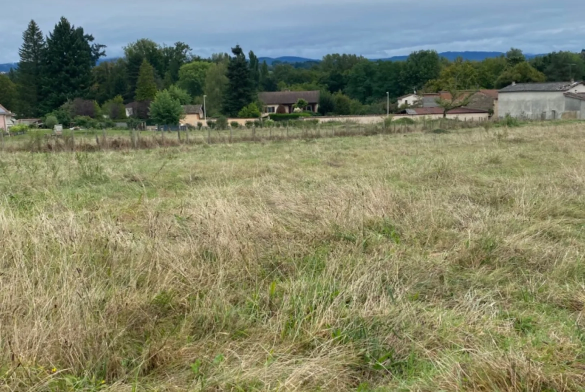 Terrain constructible de 6194 m² à Courpière avec viabilités et potentiel de construction 