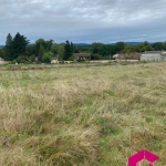 Terrain constructible de 6194 m² à Courpière avec viabilités et potentiel de construction