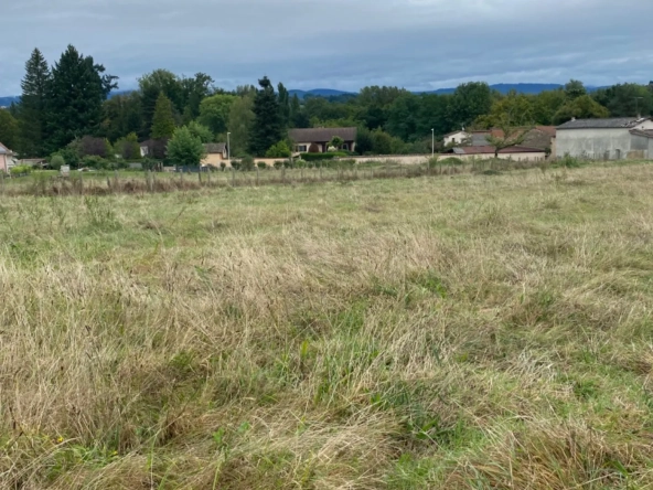 Terrain constructible de 6194 m² à Courpière avec viabilités et potentiel de construction