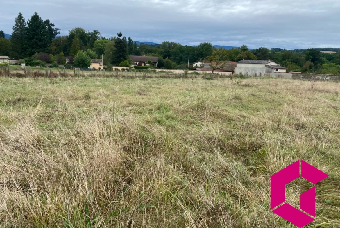 Terrain constructible de 6194 m² à Courpière avec viabilités et potentiel de construction 