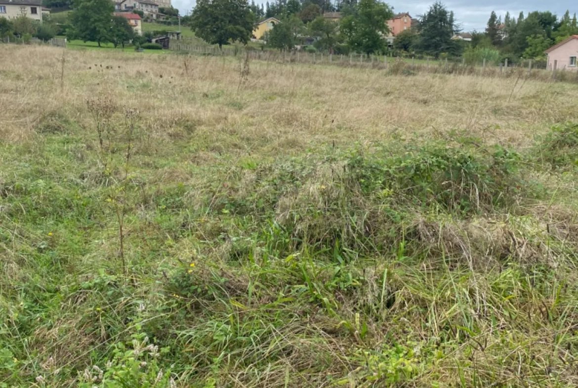 Terrain constructible de 6194 m² à Courpière avec viabilités et potentiel de construction 