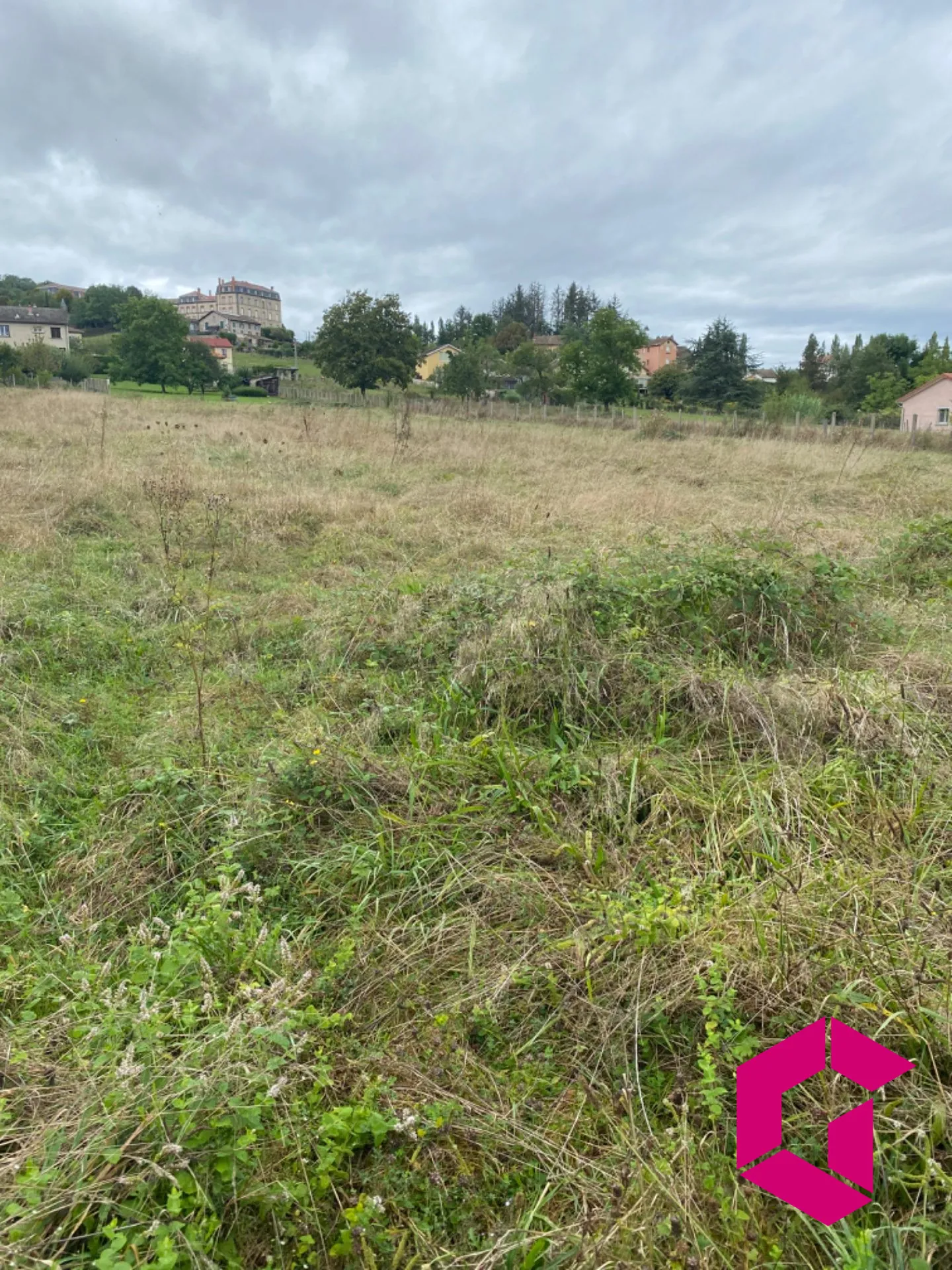 Terrain constructible de 6194 m² à Courpière avec viabilités et potentiel de construction 
