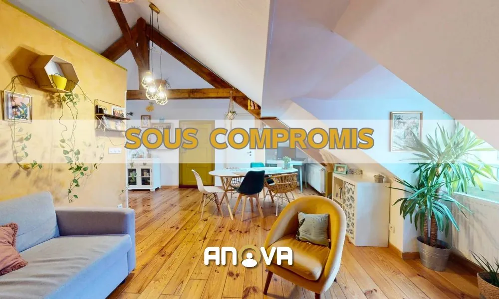 Charmant appartement 2 pièces lumineux à Schiltigheim - Dernier étage, proche du centre-ville 