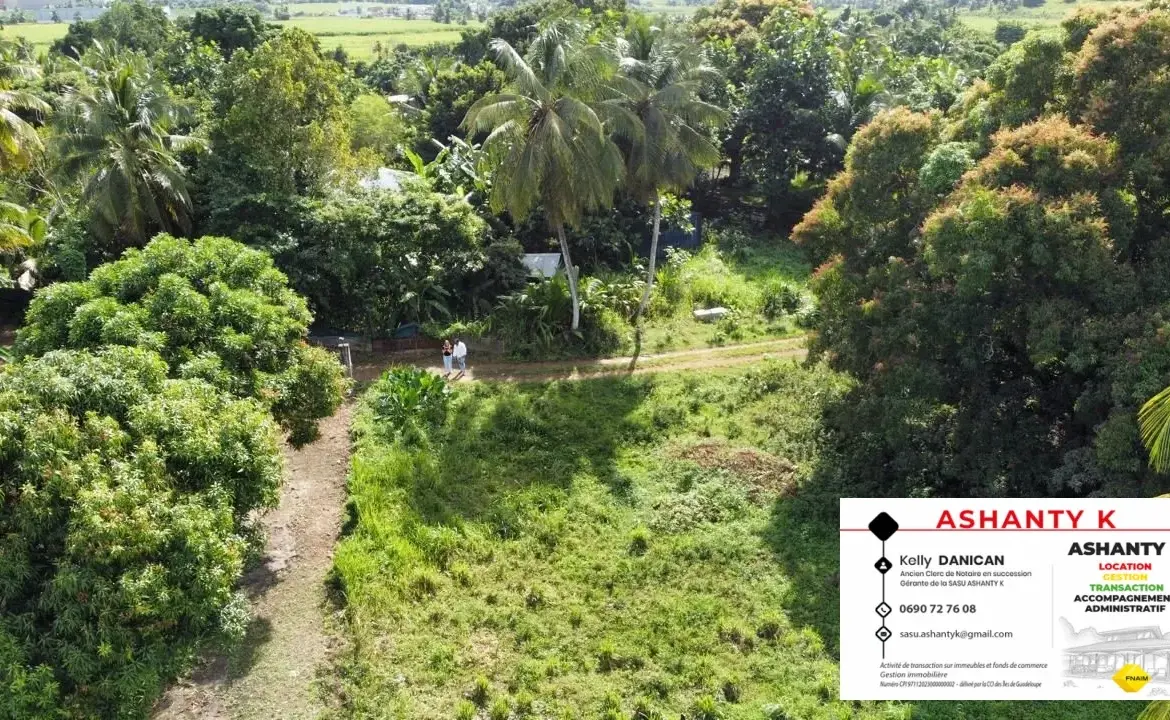 Terrain de 1860 m² à Belle Plaine, Abymes, idéal pour projets résidentiels ou immobiliers 