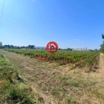 Terrain agricole à vendre à Laudun-l'Ardoise, 37 000 m² non constructible en zone urbaine