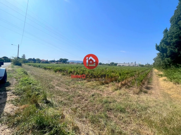 Terrain agricole à vendre à Laudun-l'Ardoise, 37 000 m² non constructible en zone urbaine