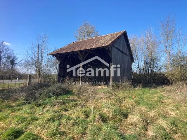 Maison ancienne à rénover avec potentiel exceptionnel à La Guerche-sur-l'Aubois 