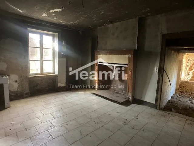 Maison ancienne à rénover avec potentiel exceptionnel à La Guerche-sur-l'Aubois 