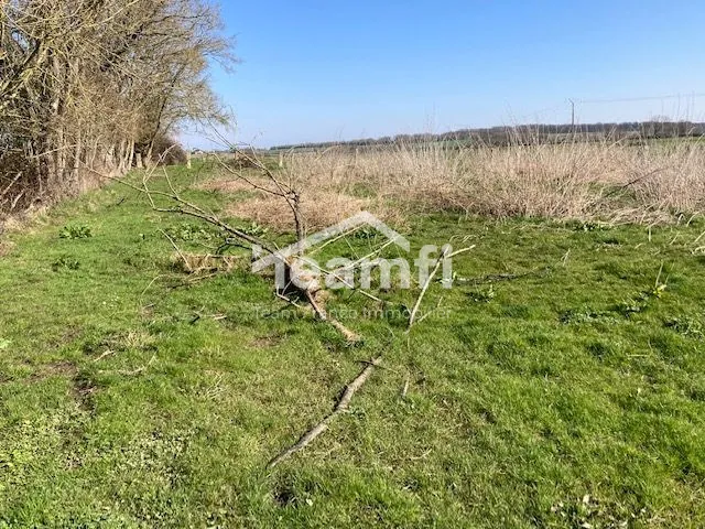 Maison ancienne à rénover avec potentiel exceptionnel à La Guerche-sur-l'Aubois 