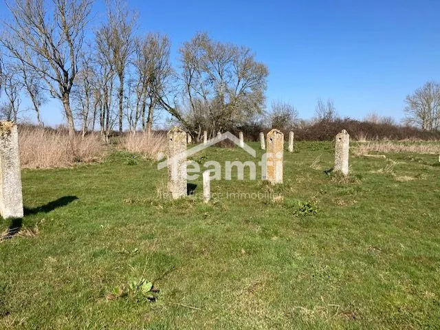 Maison ancienne à rénover avec potentiel exceptionnel à La Guerche-sur-l'Aubois 