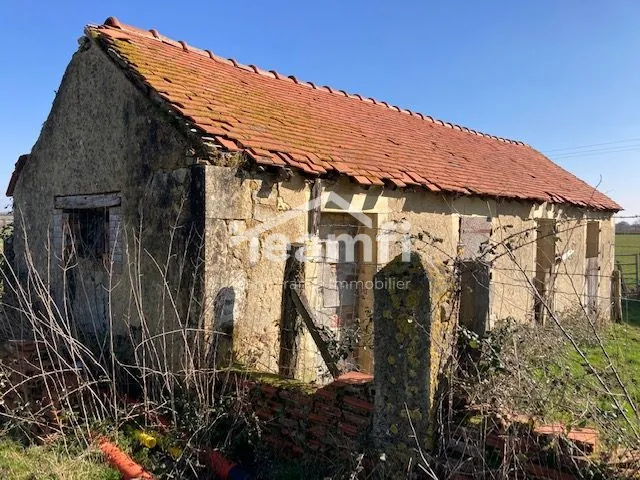 Maison ancienne à rénover avec potentiel exceptionnel à La Guerche-sur-l'Aubois 
