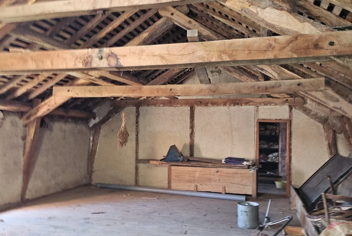 Ferme à rénover avec deux maisons et dépendances à Villosanges 