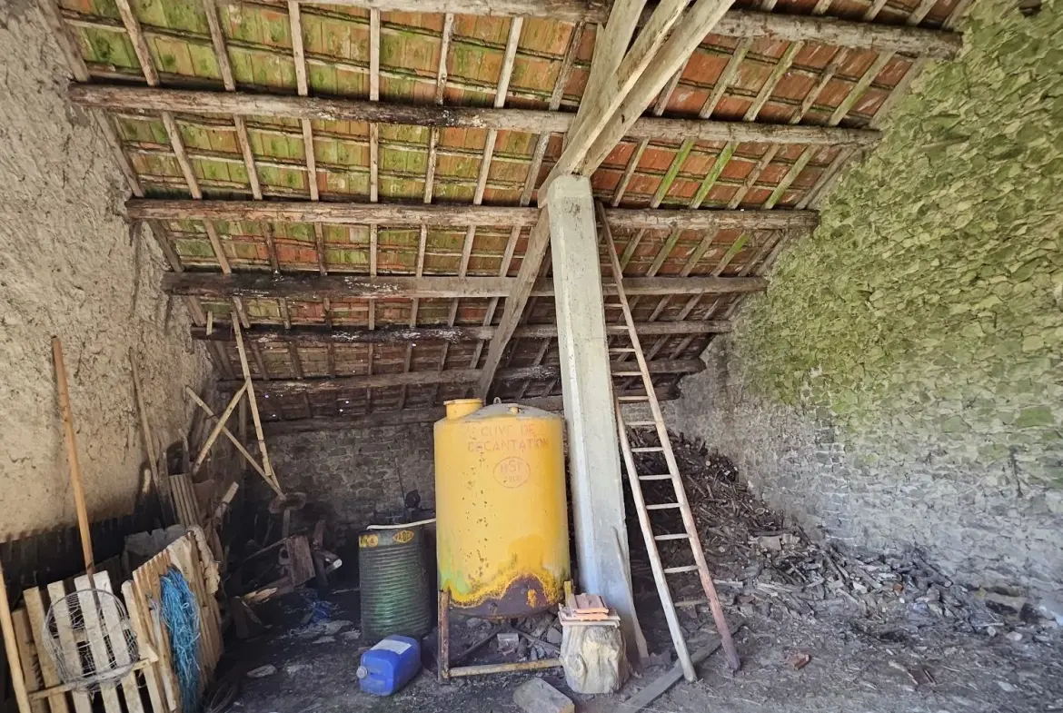 Ferme à rénover avec deux maisons et dépendances à Villosanges 