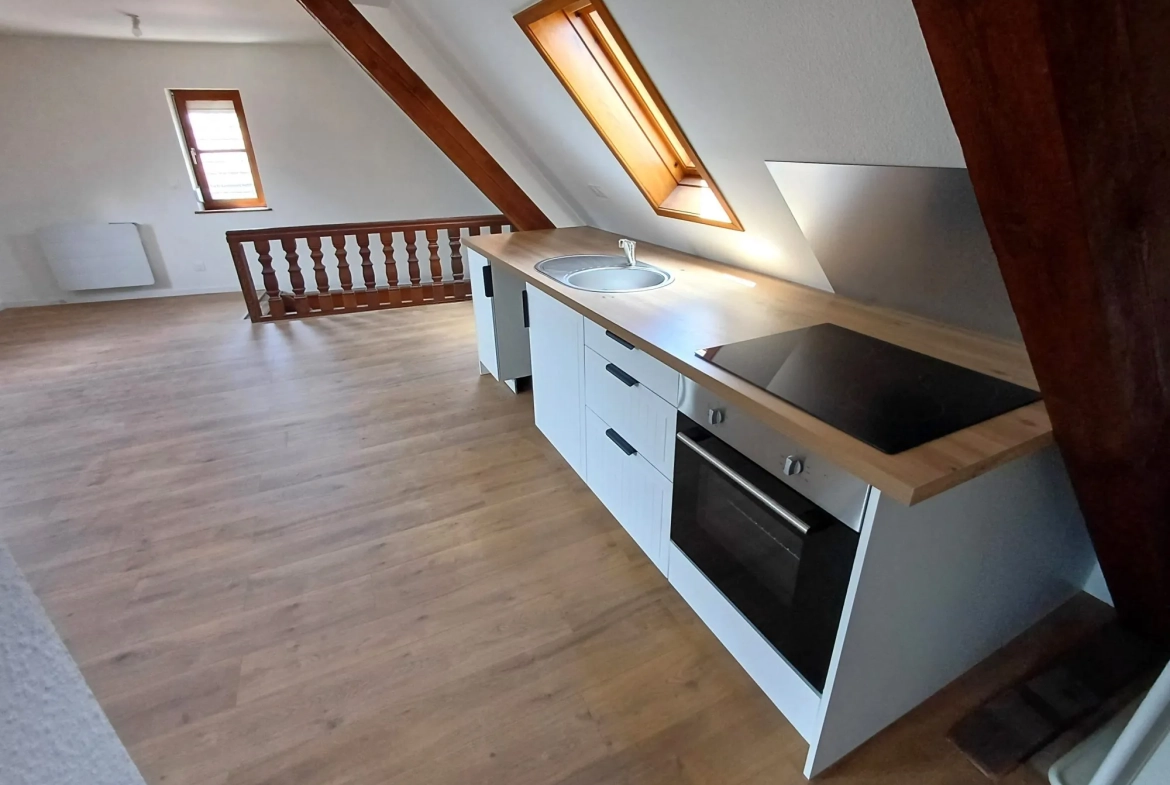 Appartement 2 pièces de 38 m² à vendre à Brumath - Investissement ou résidence 