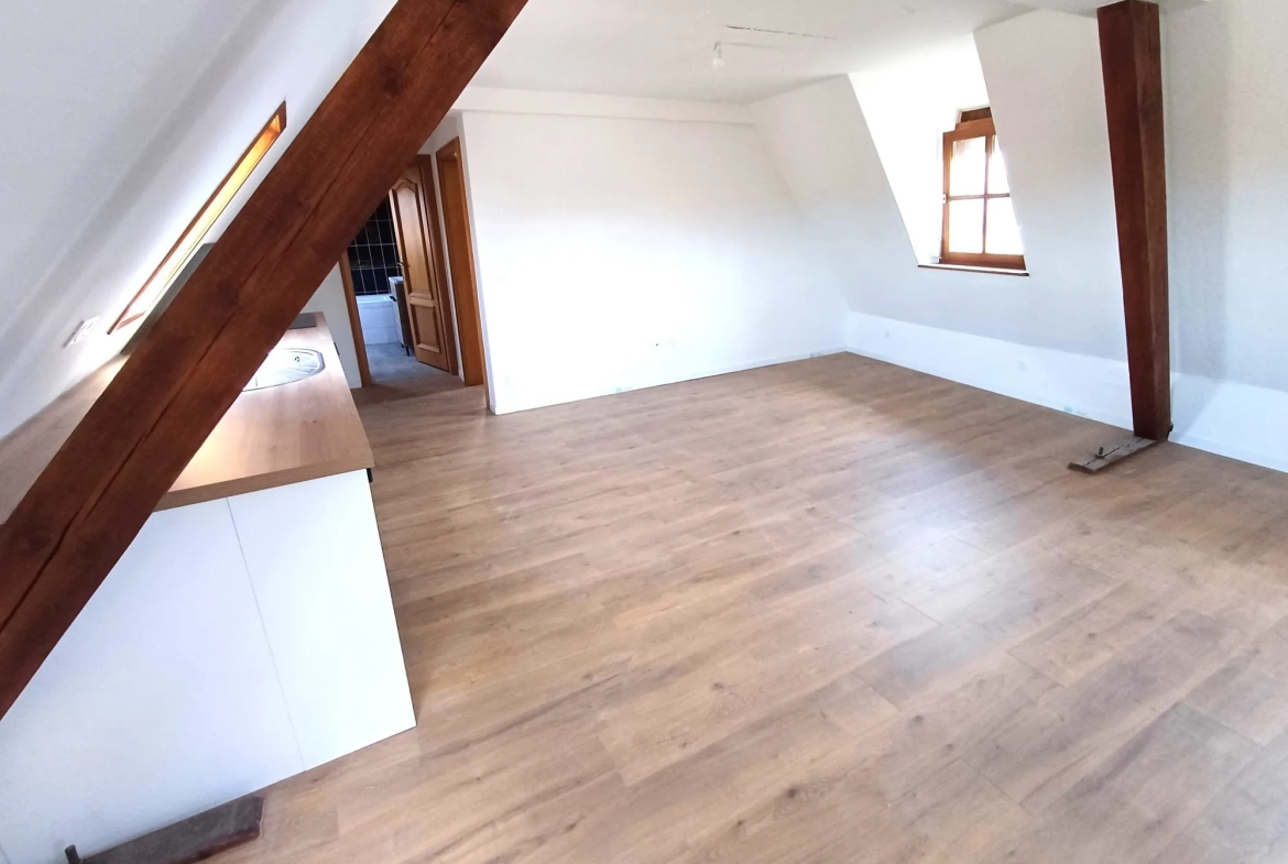 Appartement 2 pièces de 38 m² à vendre à Brumath - Investissement ou résidence 
