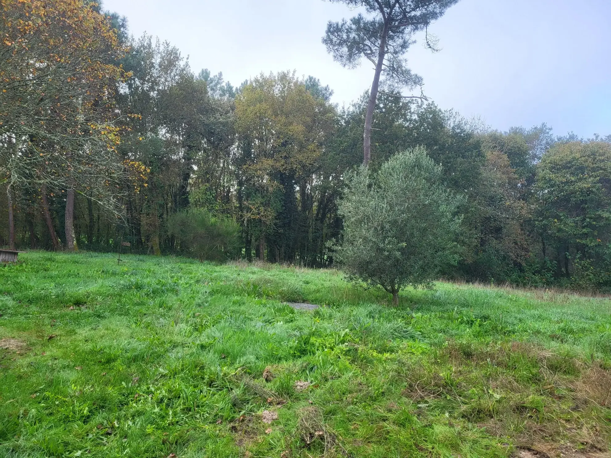 Grande maison à rénover avec vastes terrains à Courpignac (17130) 