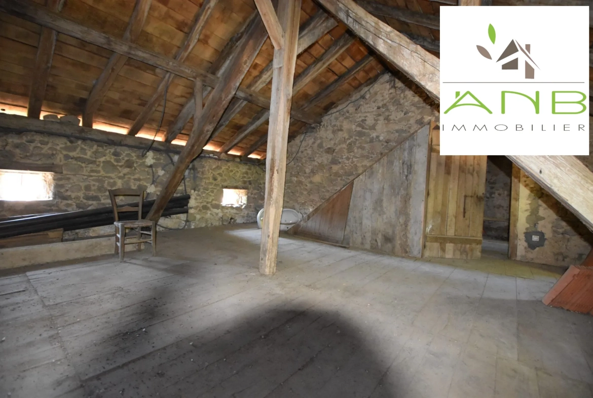 Maison de village en pierre à rénover avec grand terrain à Busserolles 