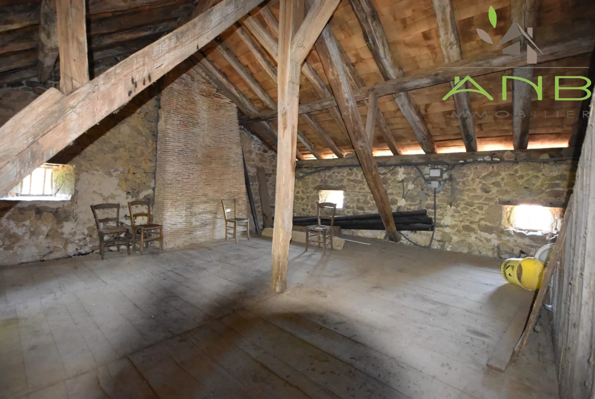 Maison de village en pierre à rénover avec grand terrain à Busserolles 