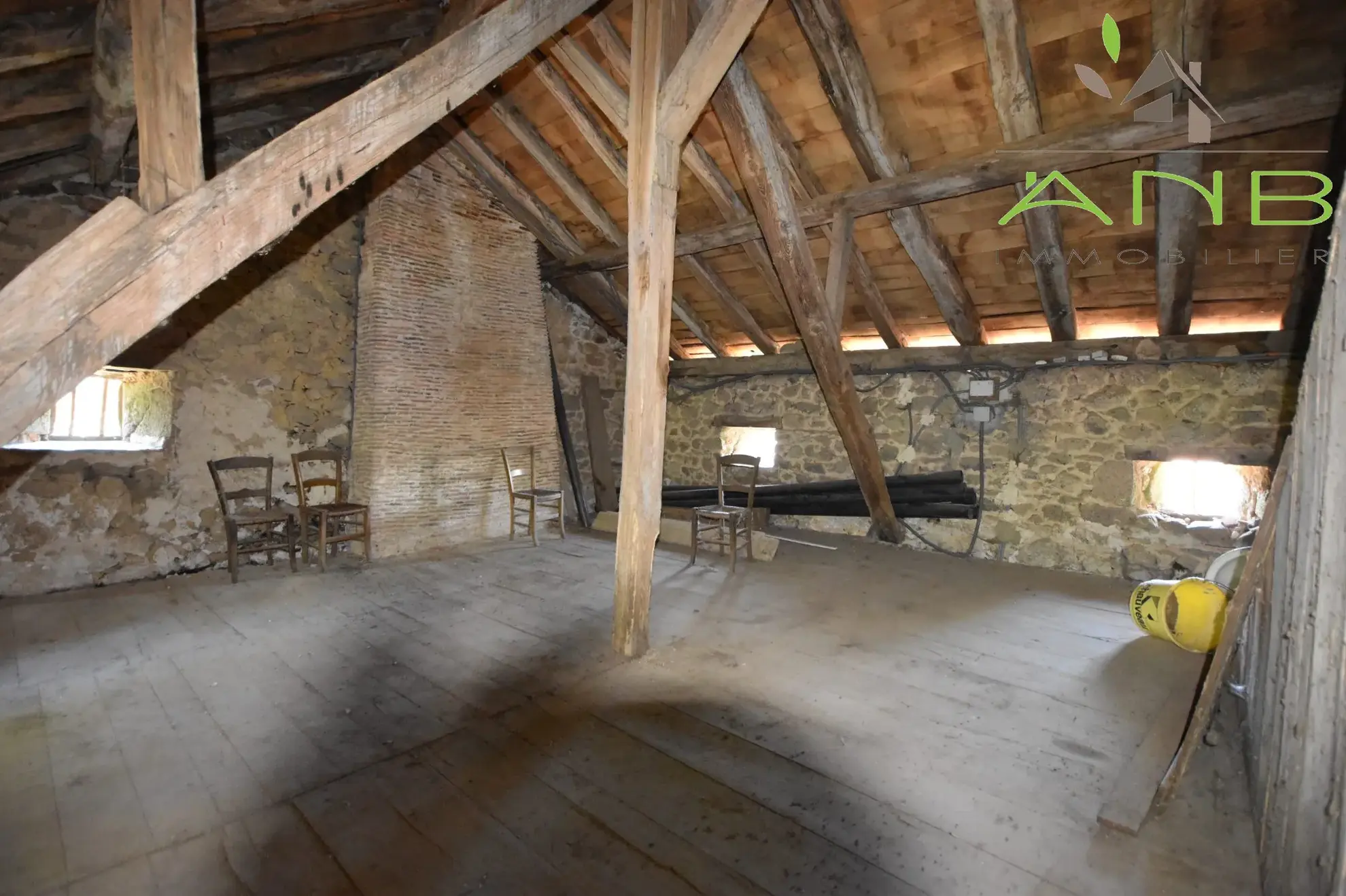 Maison de village en pierre à rénover avec grand terrain à Busserolles 