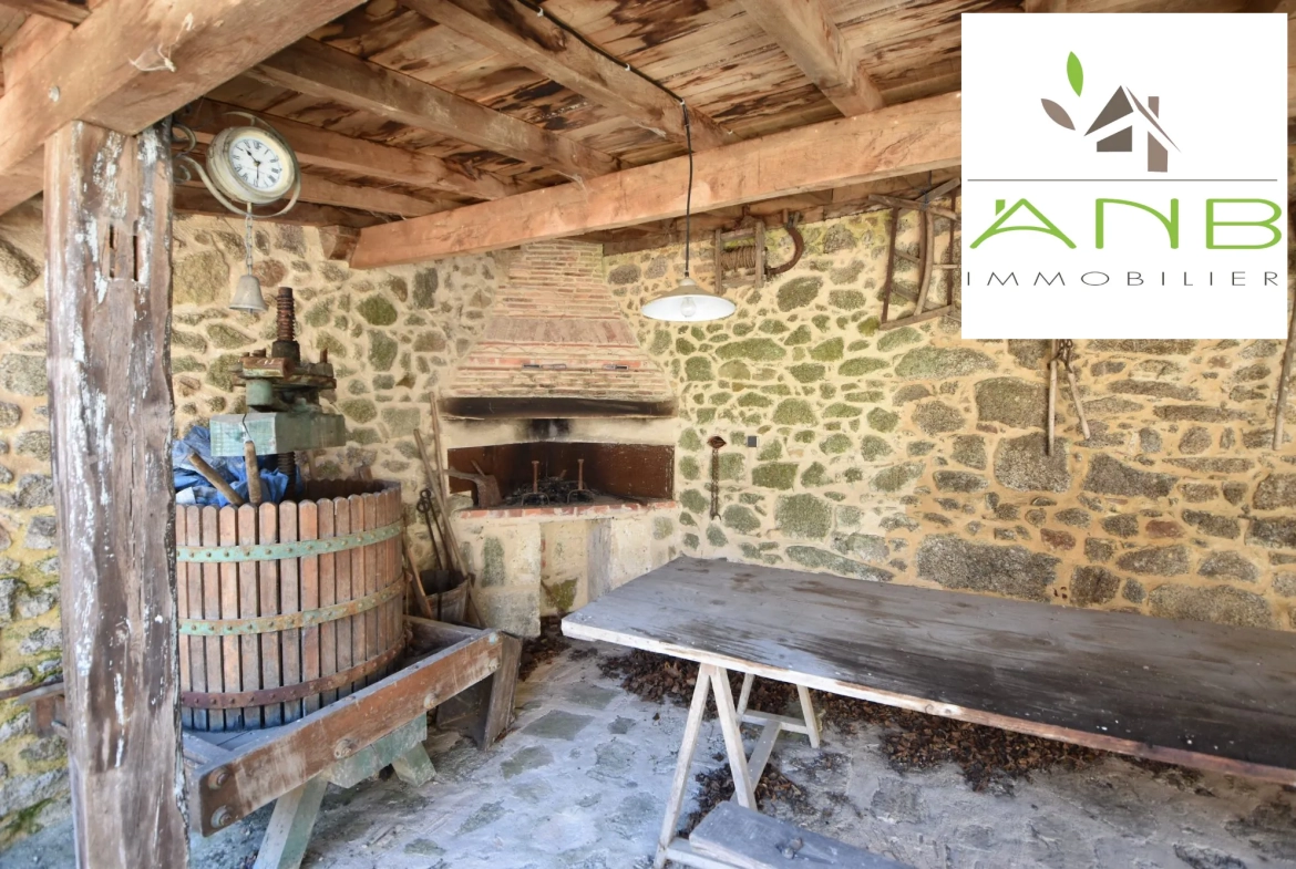 Maison de village en pierre à rénover avec grand terrain à Busserolles 