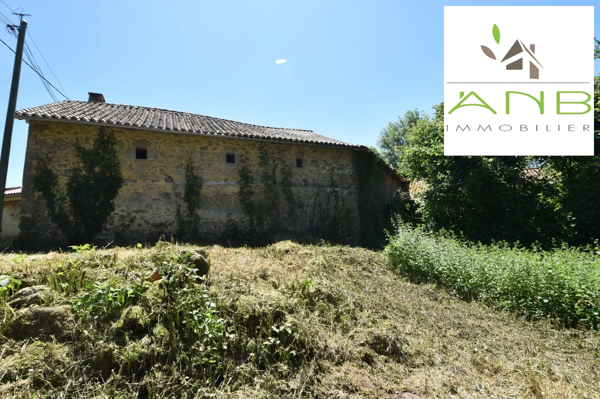 Maison de village en pierre à rénover avec grand terrain à Busserolles 