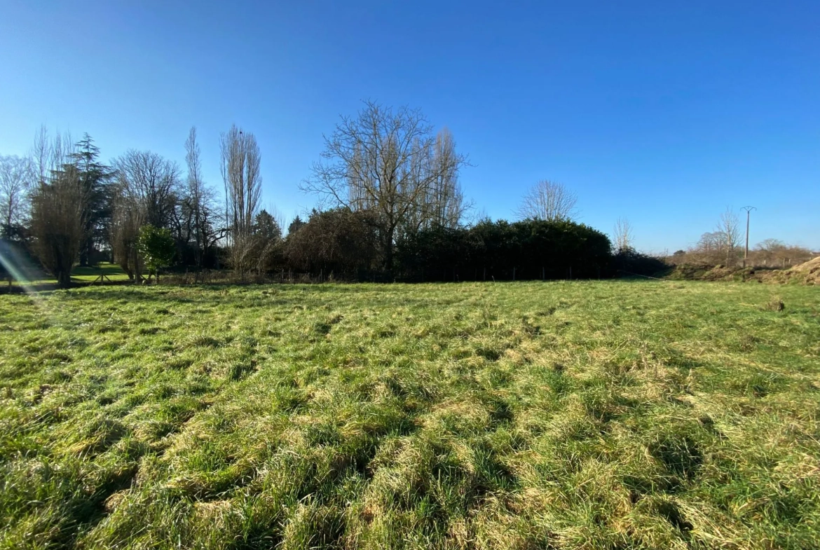 Terrain à bâtir de 1076 m² à Artannes-sur-Indre - Opportunité à saisir 