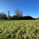 Terrain à bâtir de 1076 m² à Artannes-sur-Indre - Opportunité à saisir