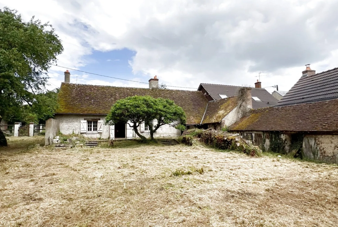 Ferme ancienne à rénover sur terrain de 4022 m² aux Bordes 