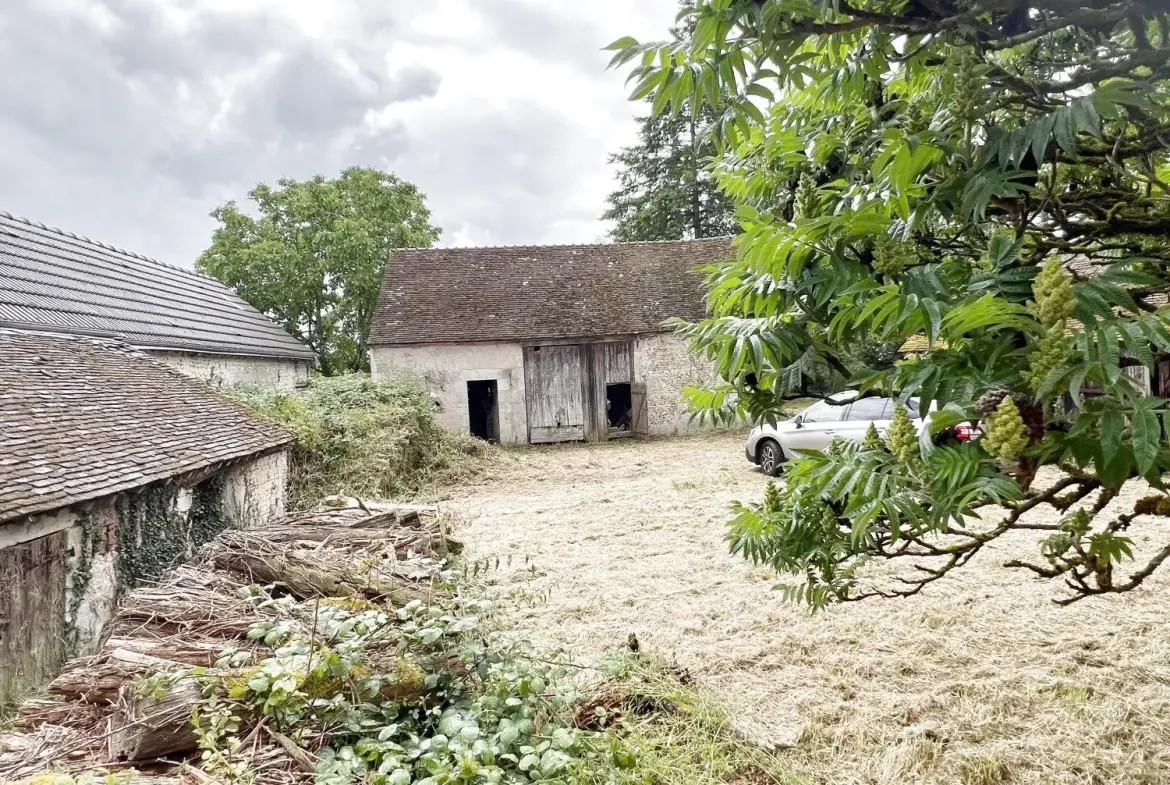 Ferme ancienne à rénover sur terrain de 4022 m² aux Bordes 