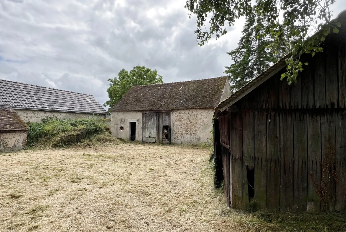 Ferme ancienne à rénover sur terrain de 4022 m² aux Bordes 