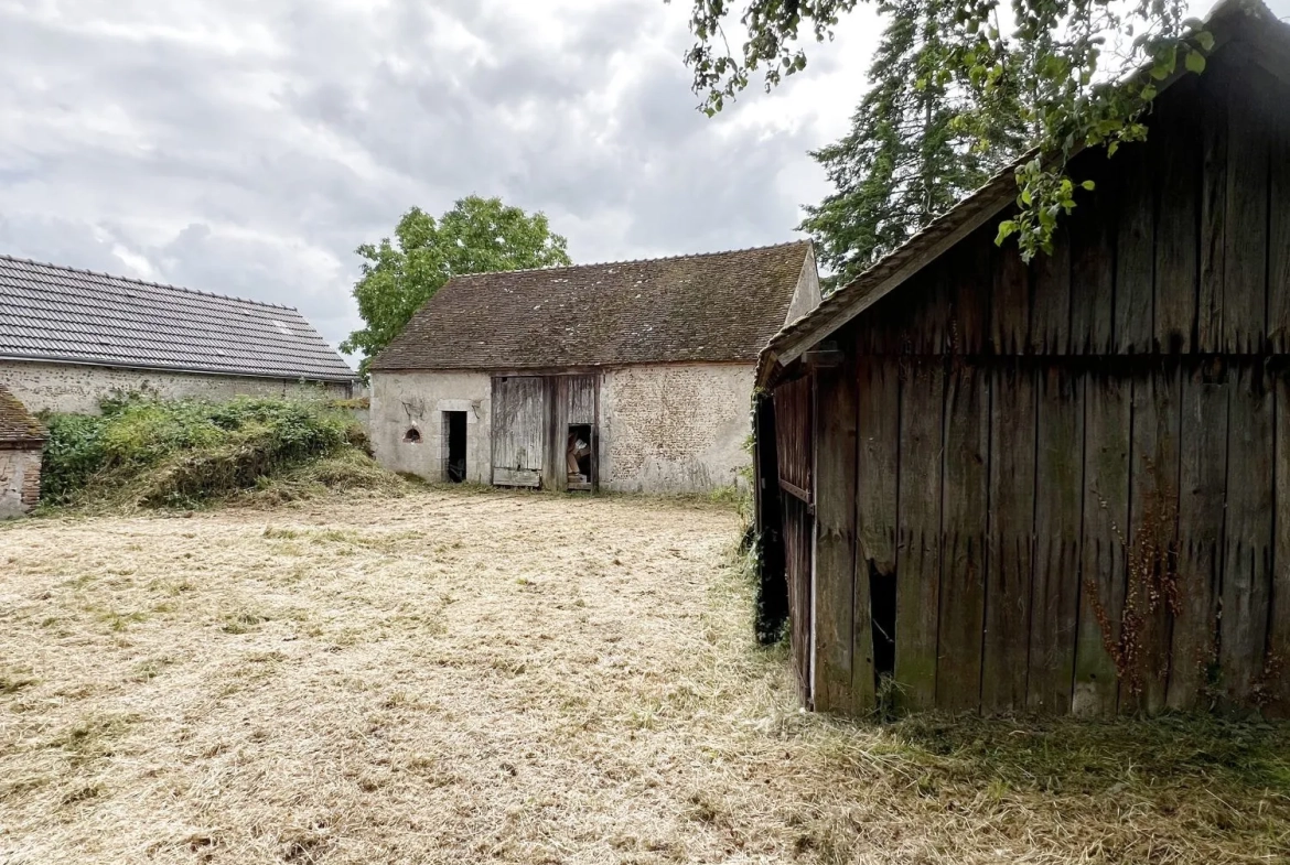Ferme ancienne à rénover sur terrain de 4022 m² aux Bordes 