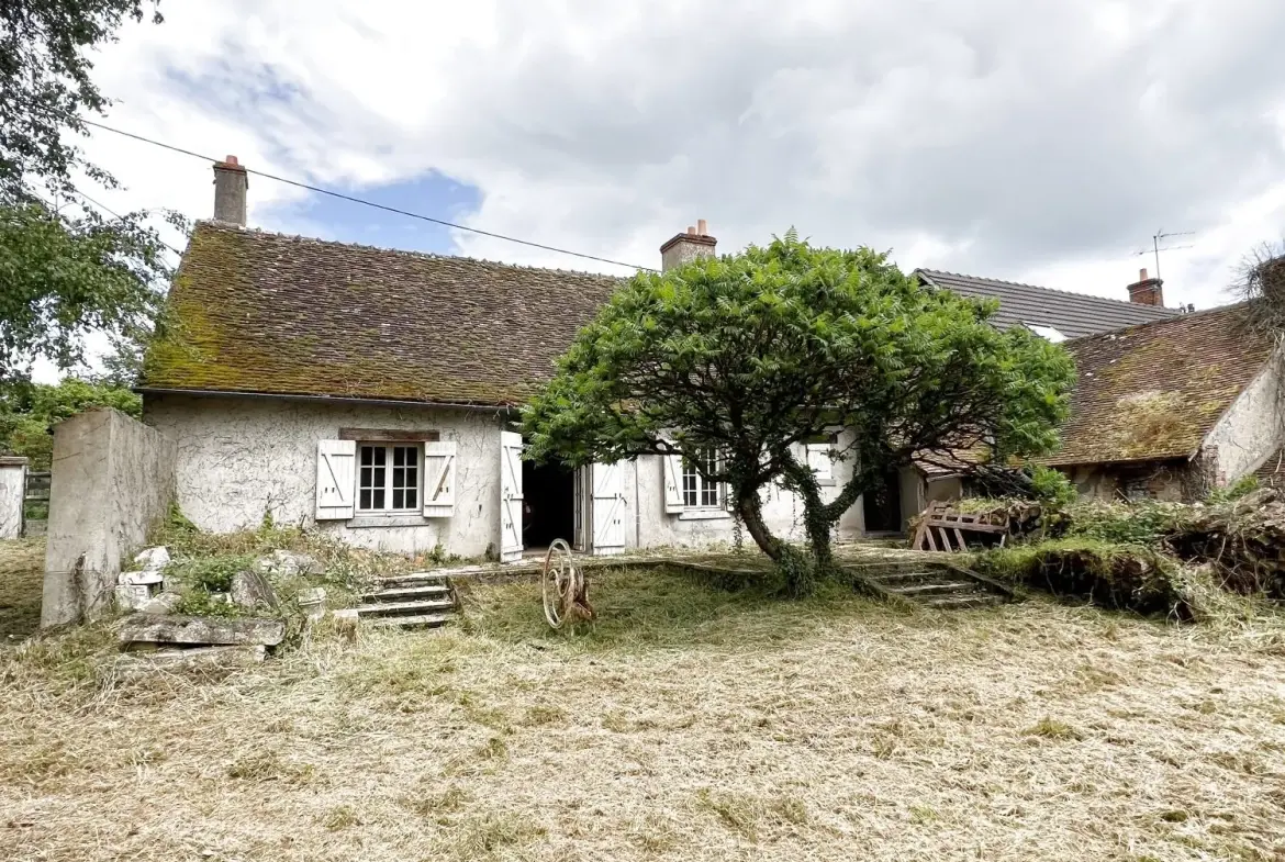 Ferme ancienne à rénover sur terrain de 4022 m² aux Bordes 