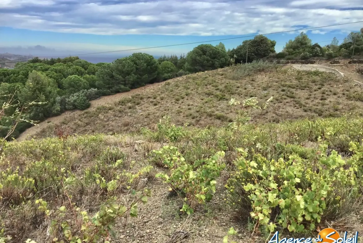 Vignobles à Banyuls-sur-Mer : terrains agricoles pour production de vins 