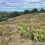 Vignobles à Banyuls-sur-Mer : terrains agricoles pour production de vins