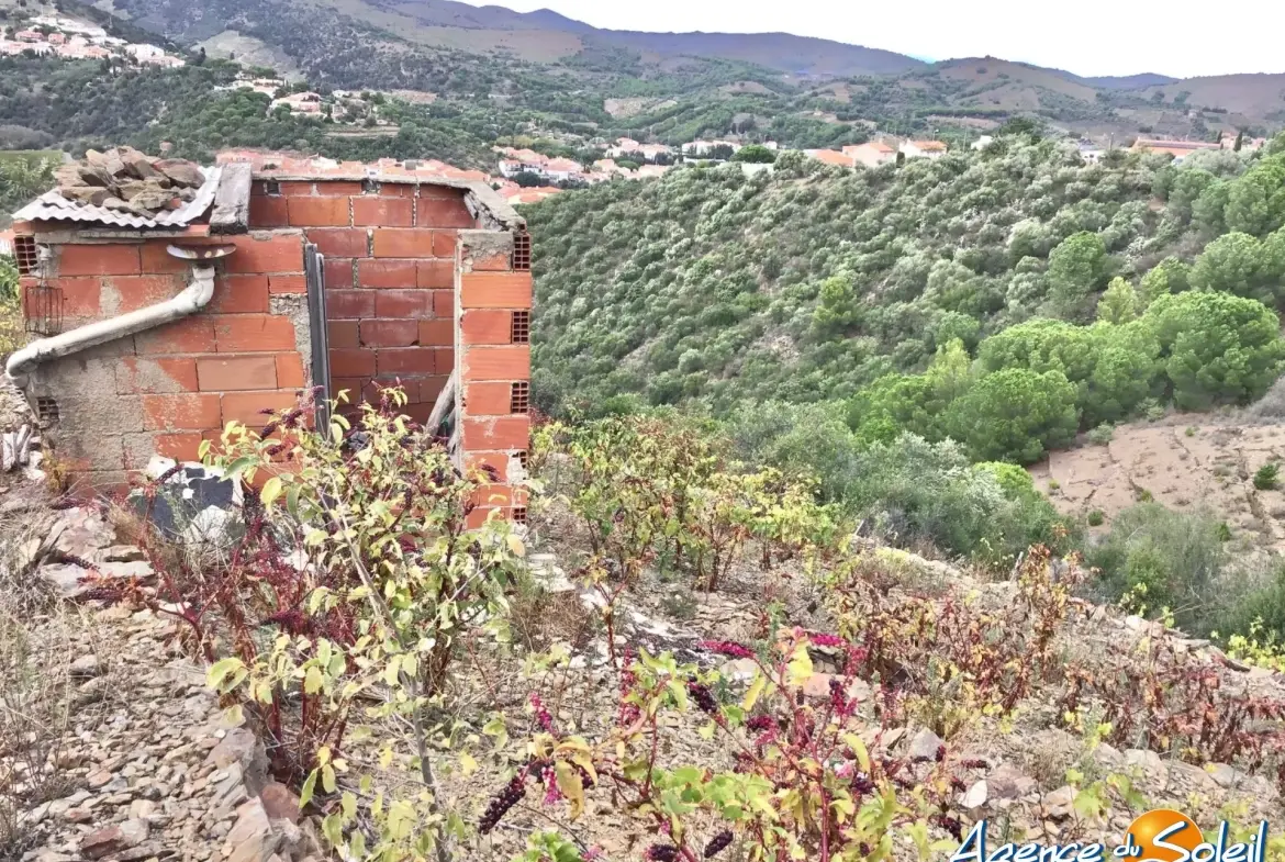 Vignobles à Banyuls-sur-Mer : terrains agricoles pour production de vins 