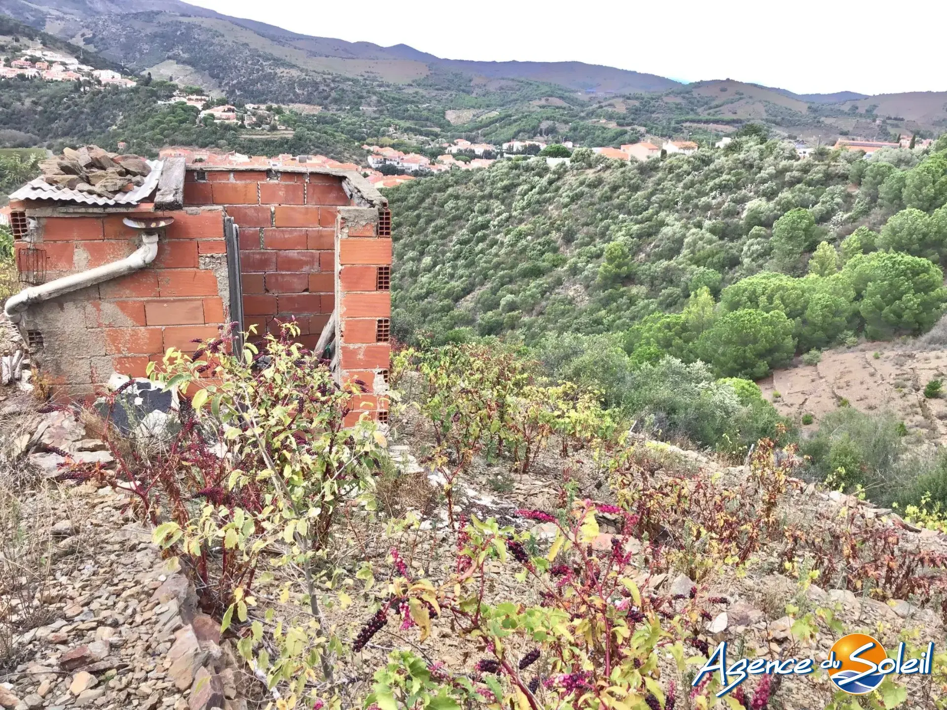 Vignobles à Banyuls-sur-Mer : terrains agricoles pour production de vins 