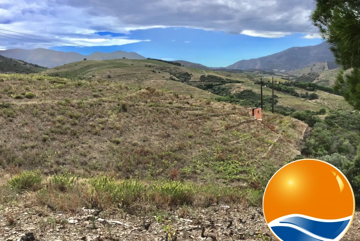 Vignobles à Banyuls-sur-Mer : terrains agricoles pour production de vins 