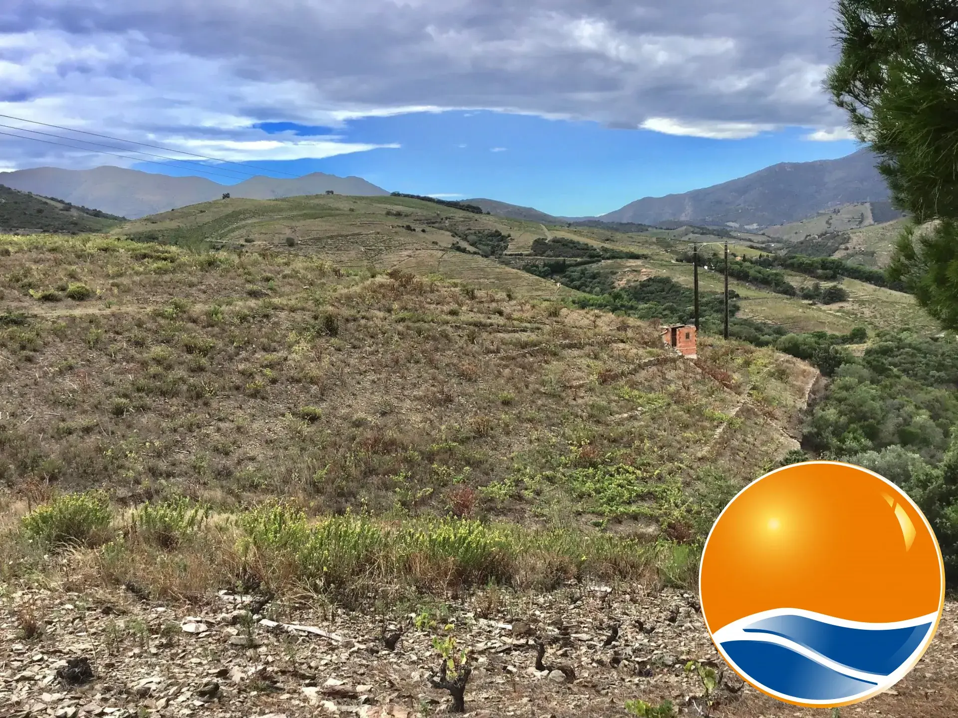 Vignobles à Banyuls-sur-Mer : terrains agricoles pour production de vins 