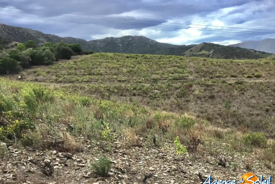 Vignobles à Banyuls-sur-Mer : terrains agricoles pour production de vins 