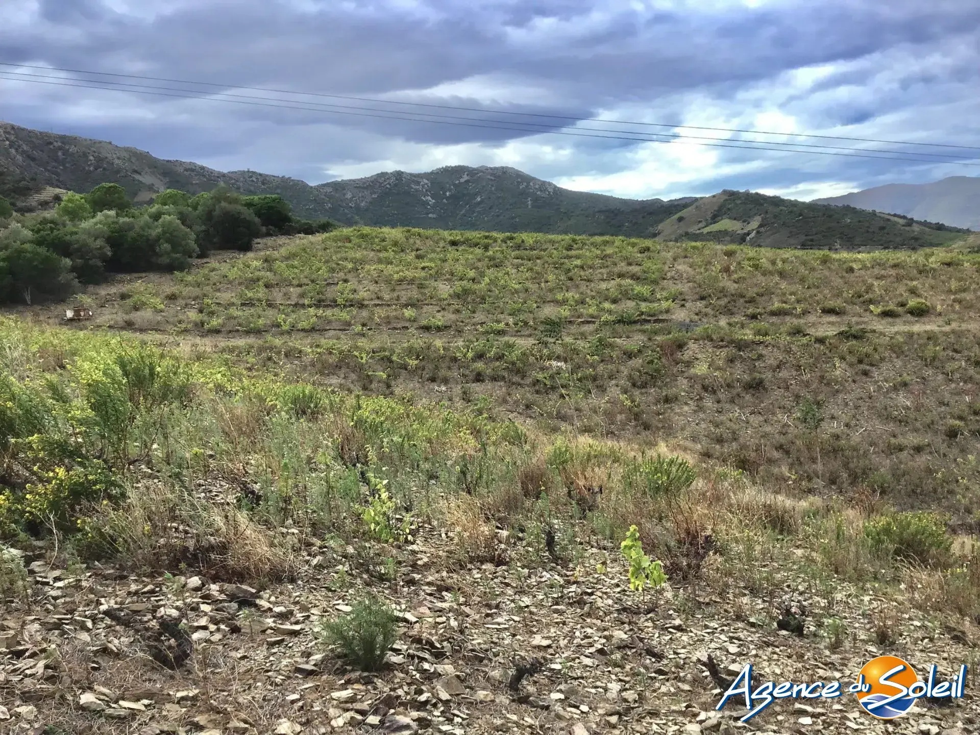 Vignobles à Banyuls-sur-Mer : terrains agricoles pour production de vins 