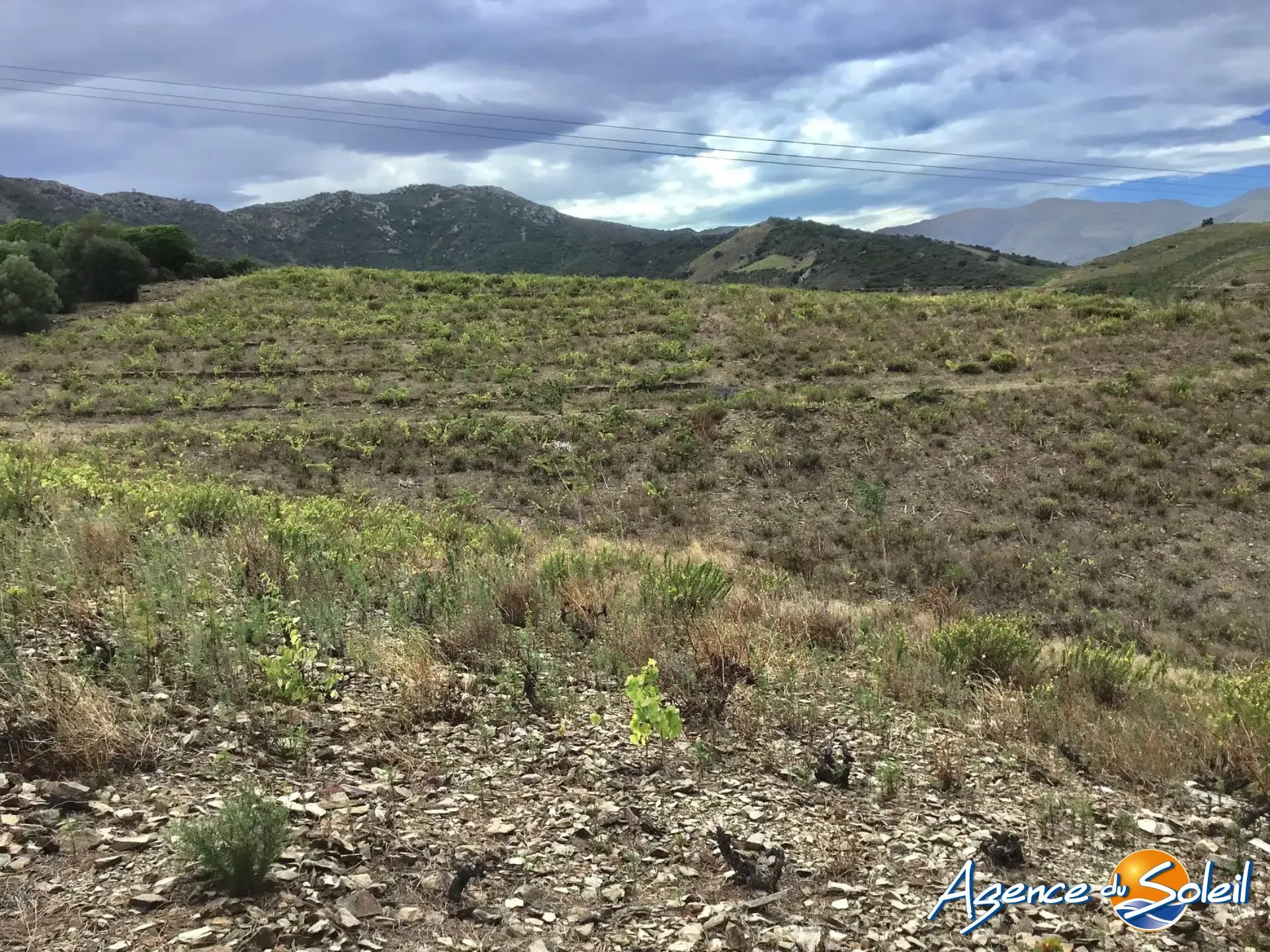Vignobles à Banyuls-sur-Mer : terrains agricoles pour production de vins 