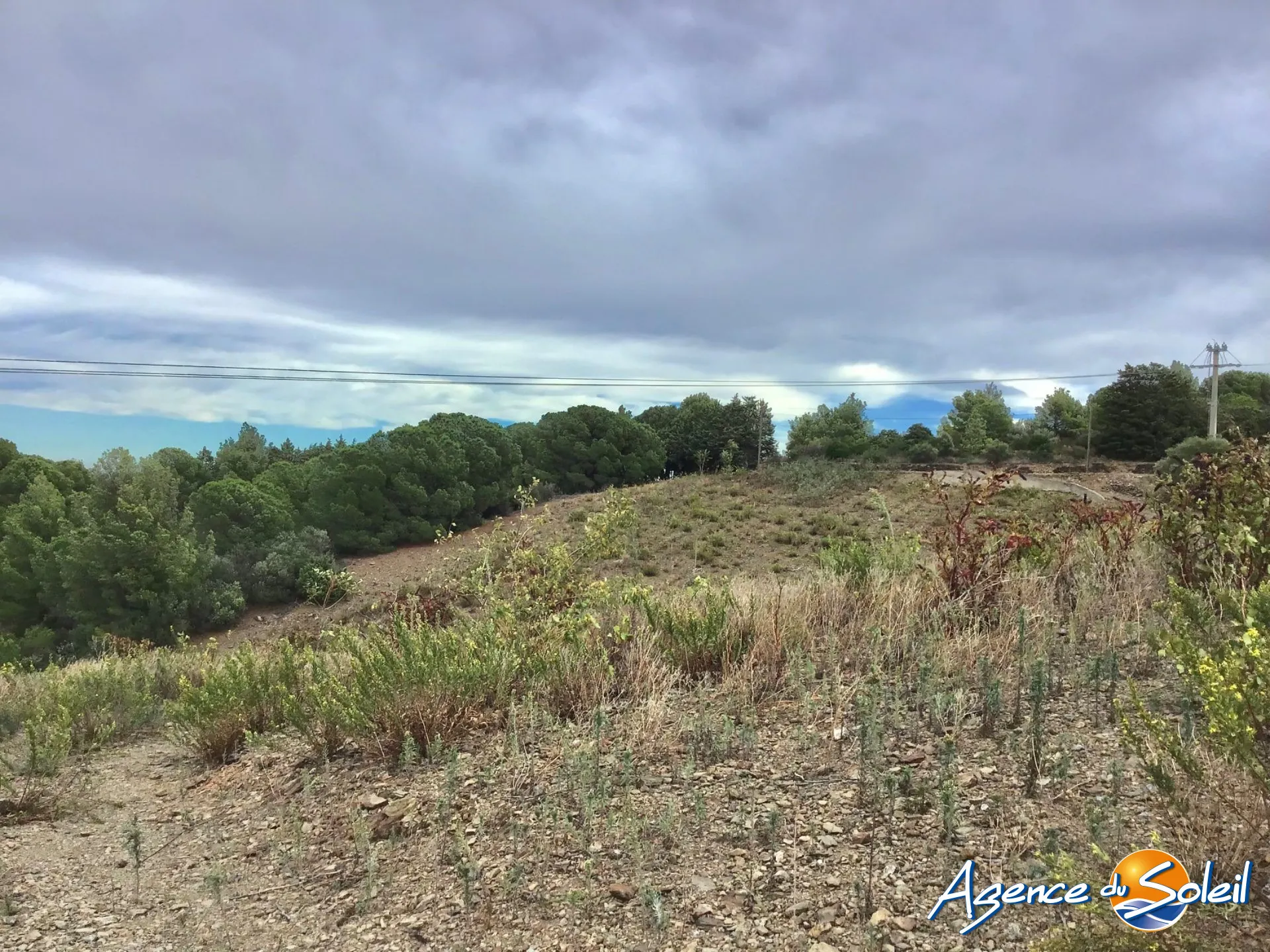 Vignobles à Banyuls-sur-Mer : terrains agricoles pour production de vins 
