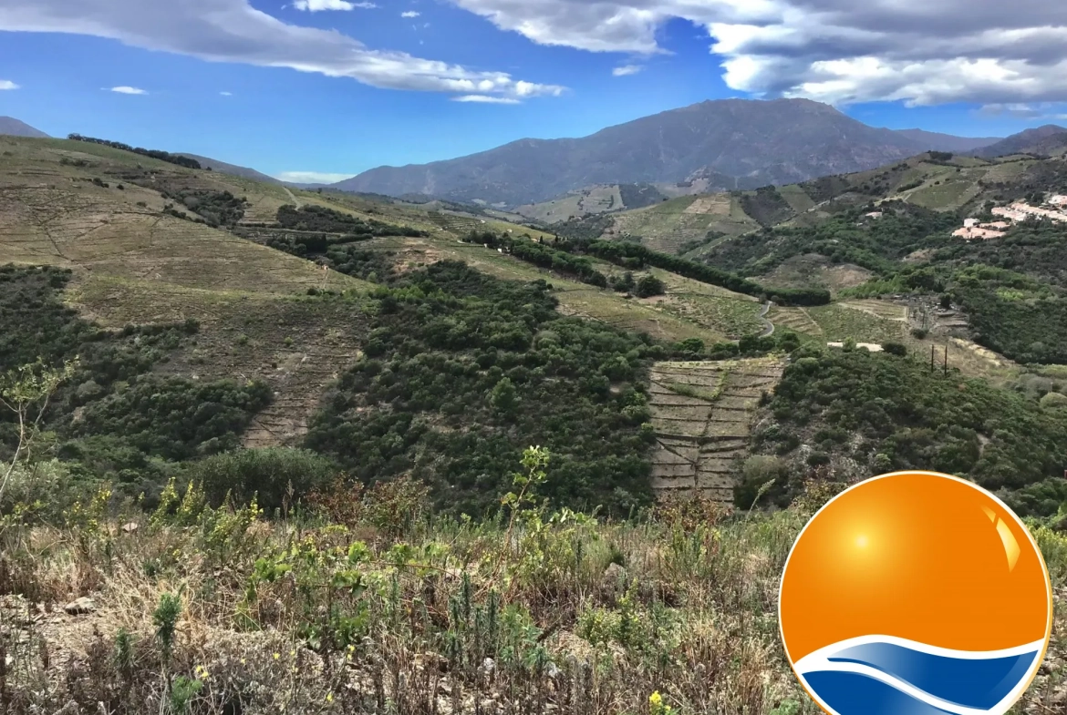 Vignobles à Banyuls-sur-Mer : terrains agricoles pour production de vins 