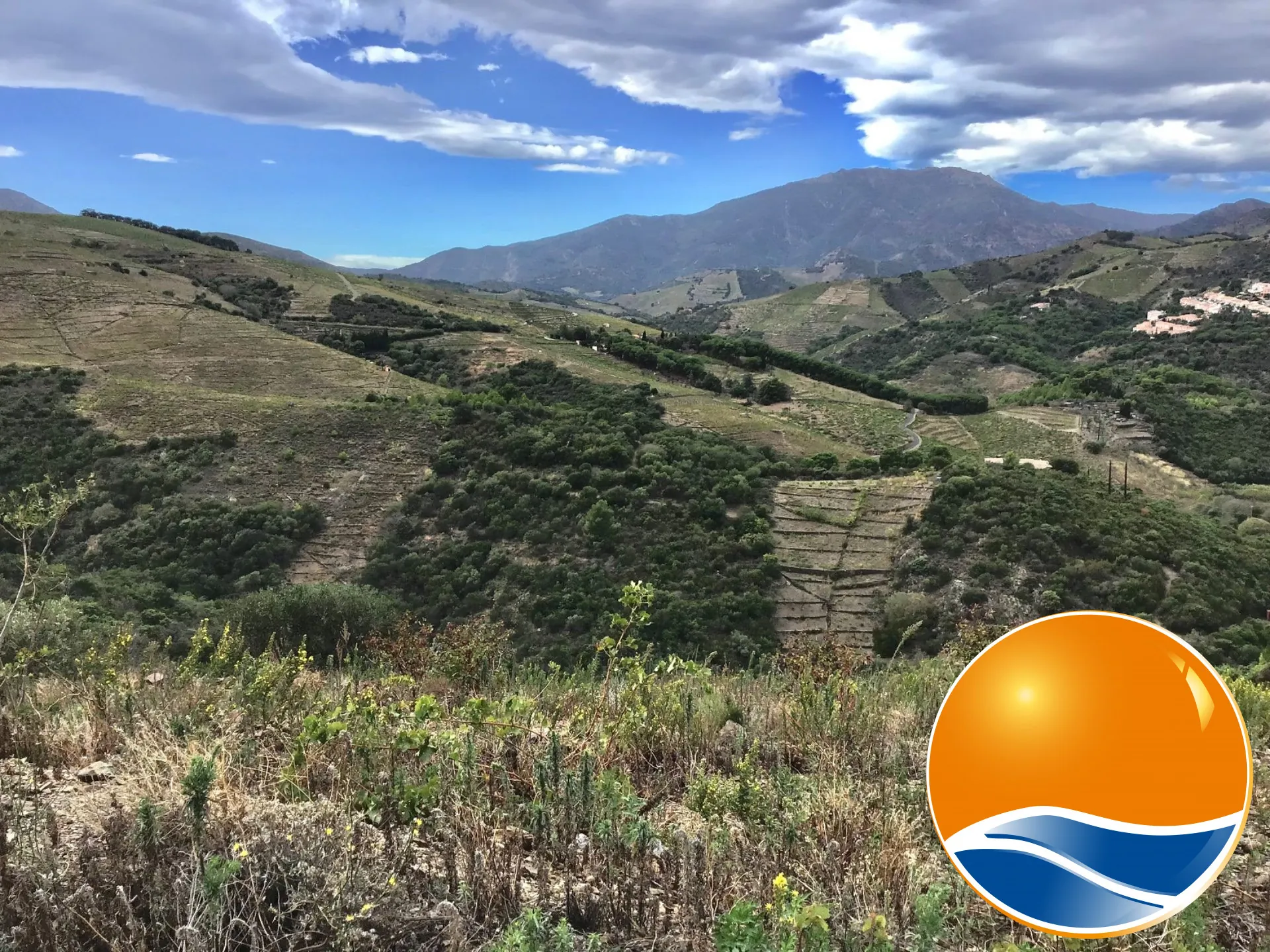 Vignobles à Banyuls-sur-Mer : terrains agricoles pour production de vins 