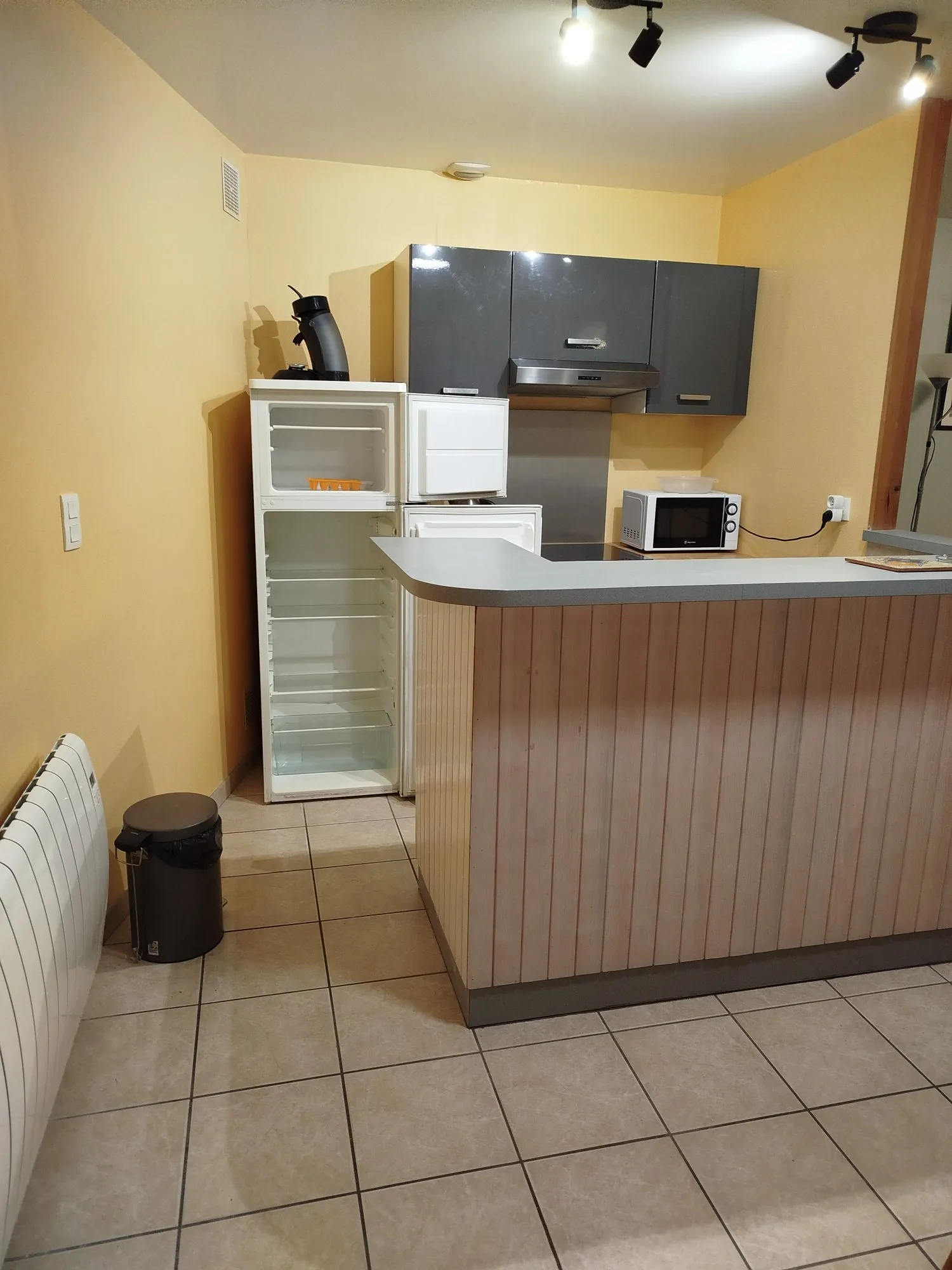 Appartement T1/2 à vendre à Besse-et-Saint-Anastaise avec jardin privé 